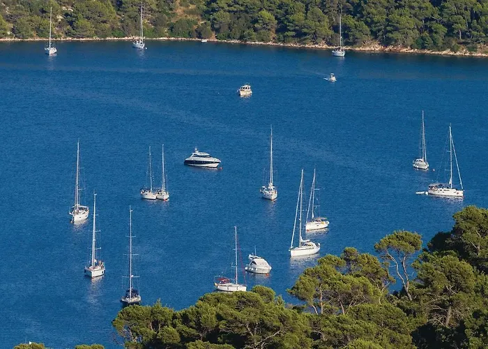 Cozy In With Kitchen קאפריה